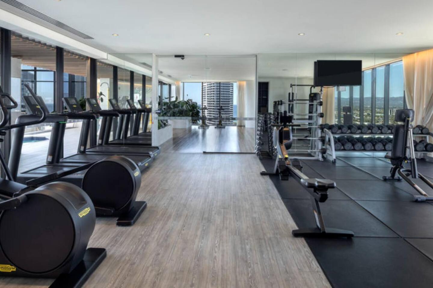 Apartment Serene Hinterland Views From The Star - One Bedroom Luxe On The Star Gold Coast